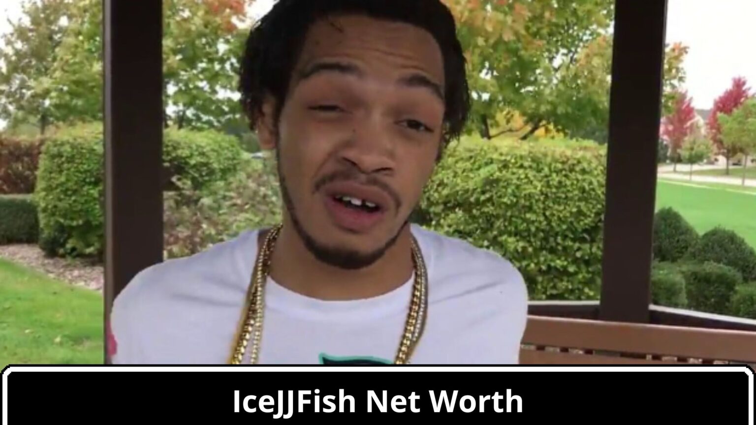 What Is The Net Worth Of IceJJFish In 2024