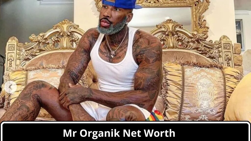 Mr Organik